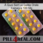 À Quoi Sert La Gelée Orale Kamagra 100 Mg new10